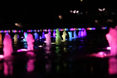 DSC_1702 (Large).JPG